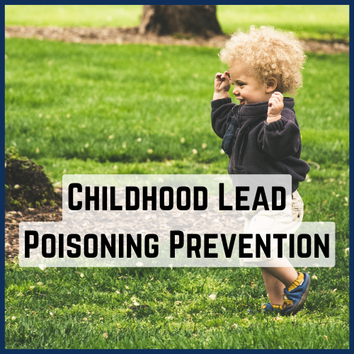 Link to learn about childhood lead poisoning prevention.